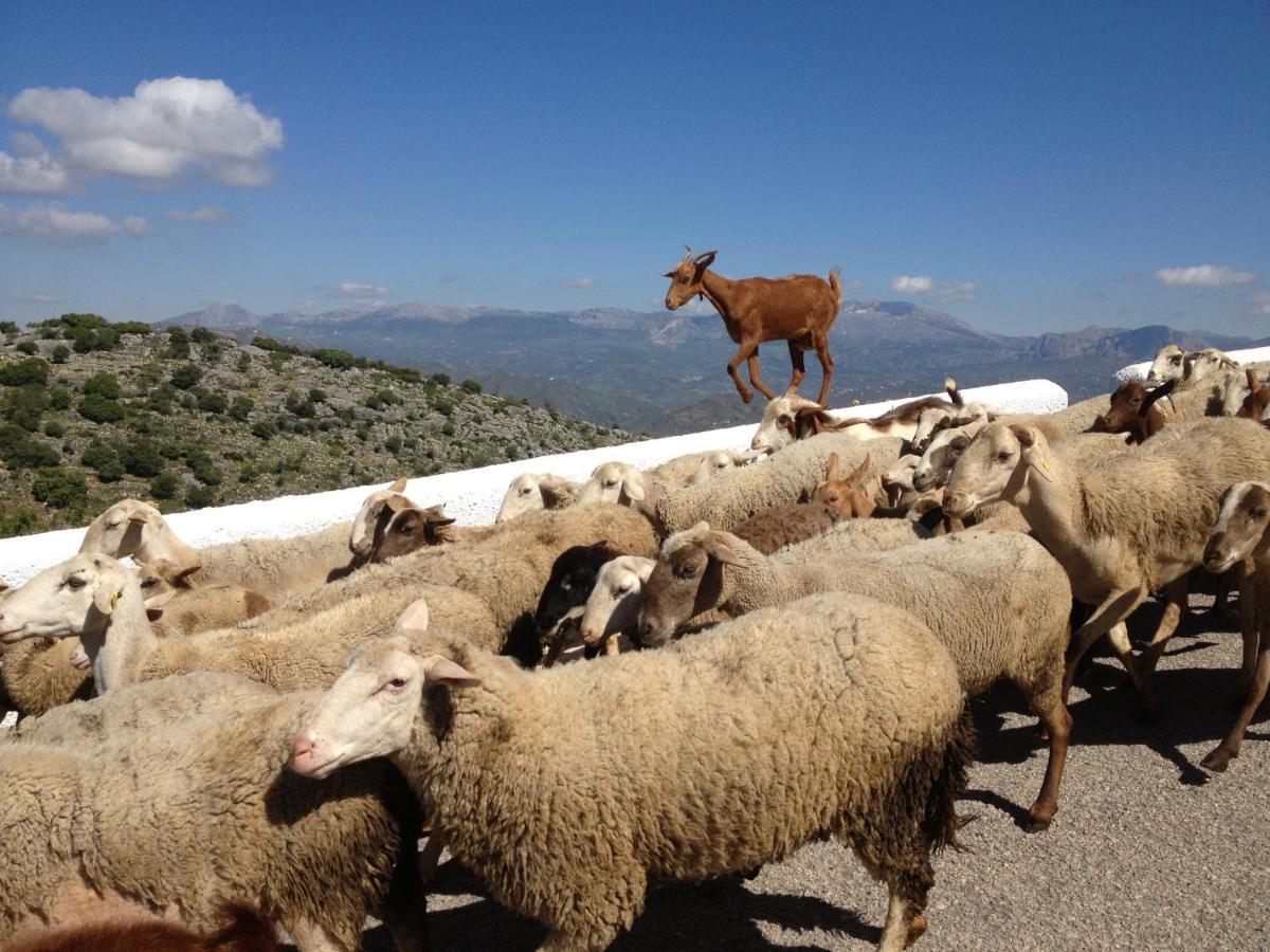 Viva Espana Comares Εξωτερικό φωτογραφία